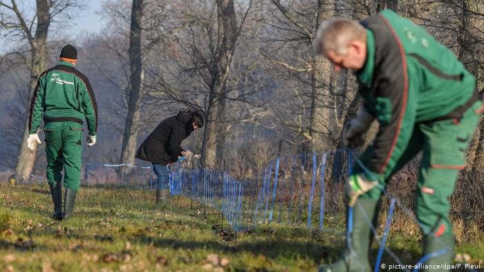 В декабре 2019 года немецкие пограничники установили на границе с Польшей мобильный забор 