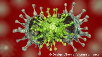 Модель мутировавшего коронавируса