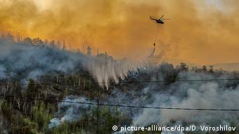 Лесной пожар на Камчатке