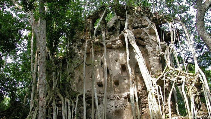 Mexiko Ruine Maya-Stadt Calakmul (picture-alliance/dpa/INAH)