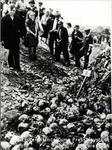 найденные после освобождения лагеря массовые захоронения убитых узников, 1944 год