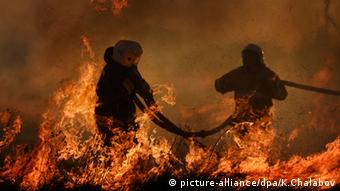 Сотрудники МЧС РФ борются с пожаром под Новгородом, 2014 год