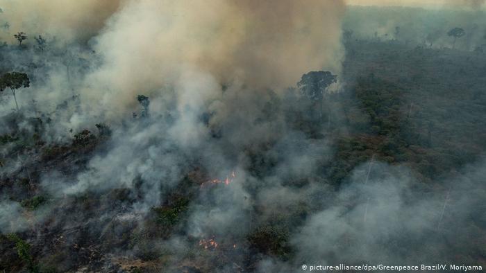горящие леса в Бразилии