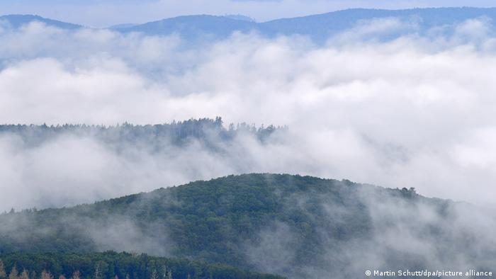 Окрестности тюрингского Фёлькерсхаузен встретили главу государства такими вот живописными туманами 