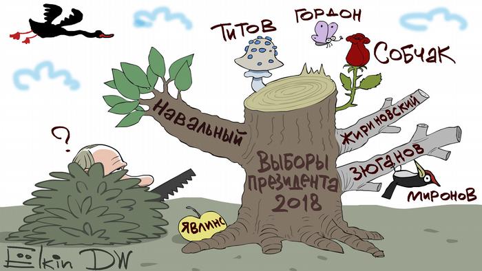 Путин в кустах с пилой перед деревом с ветками, на которых написано Навальный, Собчак, Жириновский, Зюганов и другие фамилии (карикатура)