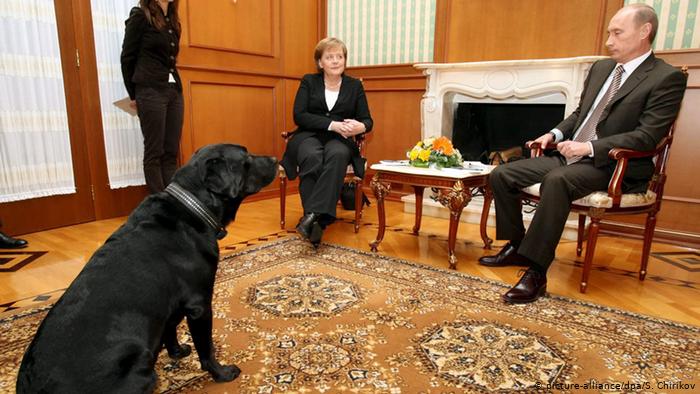 Встреча Меркель и Путина в РФ в присутствии собаки российского президента