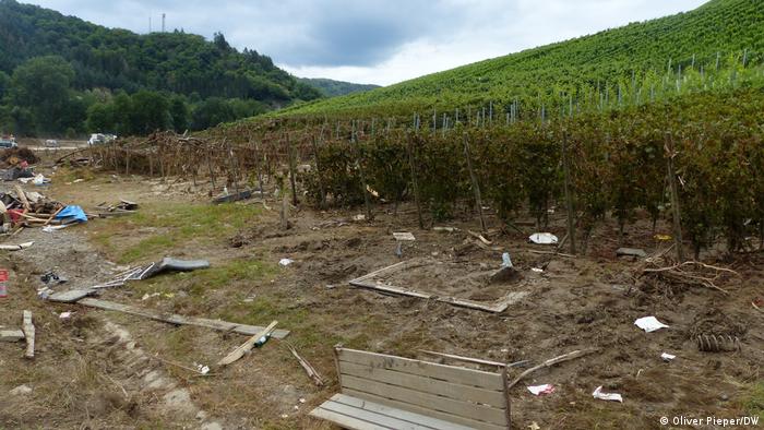 Пострадавшие от наводнения виноградники в Мариентале