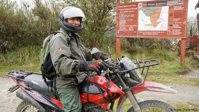 Рейнджер объезжает национальный парк Manu в Перу