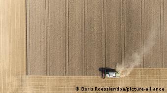 Немецкий фермер собирает на своем поле урожай пшеницы 