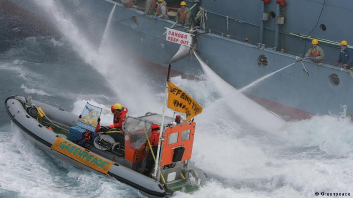 Лодка с активистами Гринписа близко приблизилась к китобойному судну