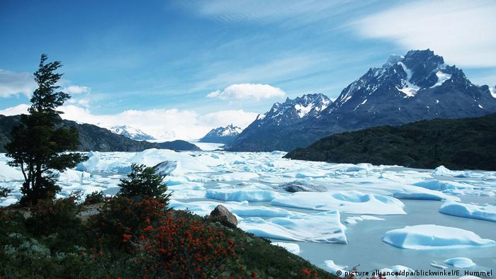 Глыбы льда, стекающие в воду на леднике Грей в Чили