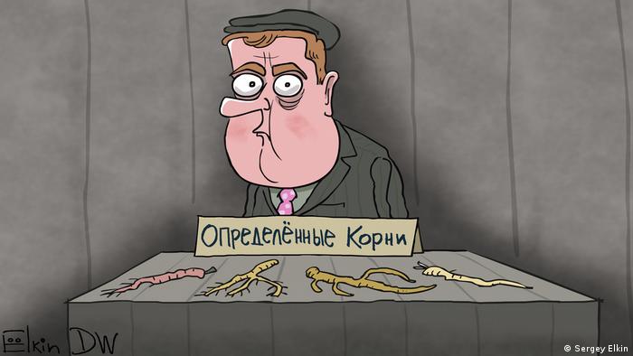 Дмитрий Медведев, перед которым на столе разложены разные корни растений