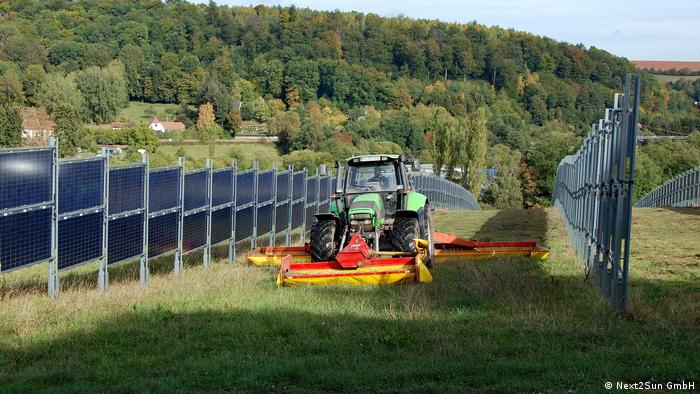 Солнечные батареи в сельском хозяйстве устанавливают и таким образом - вертикально