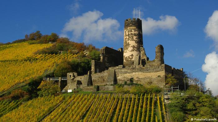 Руины замка Фюрстенберг (Burg Fürstenberg)