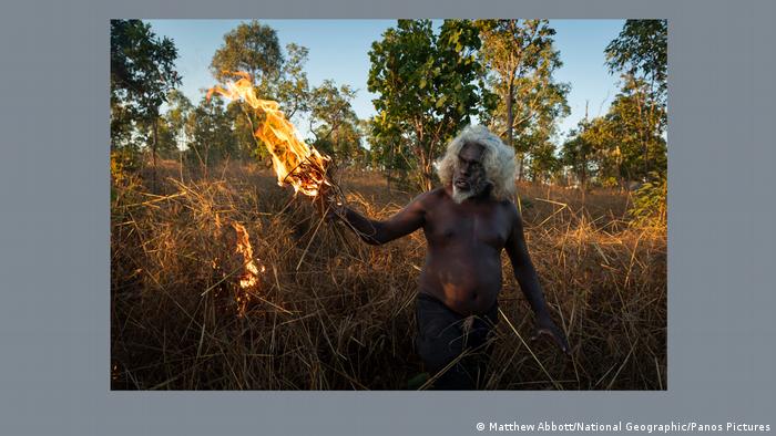 World Press Photo - 2022. Saving Forests with Fire - одна из работ Мэтью Эбботтa (Matthew Abbott)