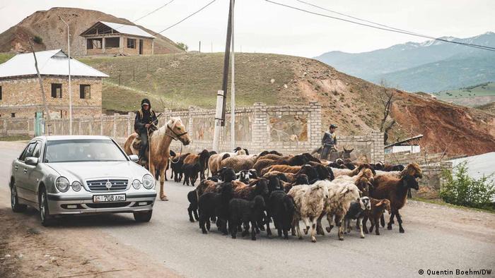 Пастухи на лошадях гонят отару овец на пастбище в Кыргызстане