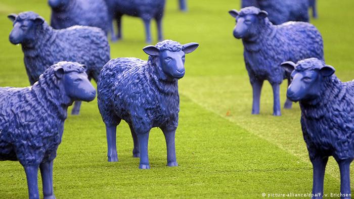 Овцы в Тюрингии