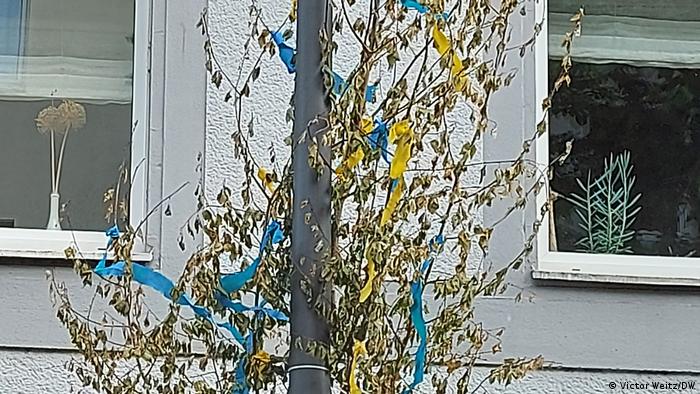 Майское дерево с ленточками цветов национального флага Украины
