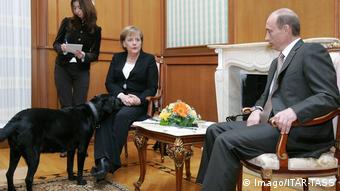 Сочи, 2007 год. Меркель, Путин и лабрадор Кони. 