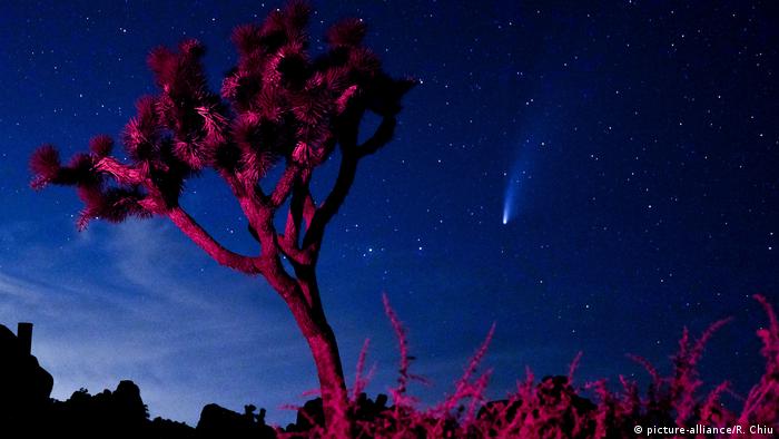 Комета NeoWise в небе над Лос-Анджелесом (США)