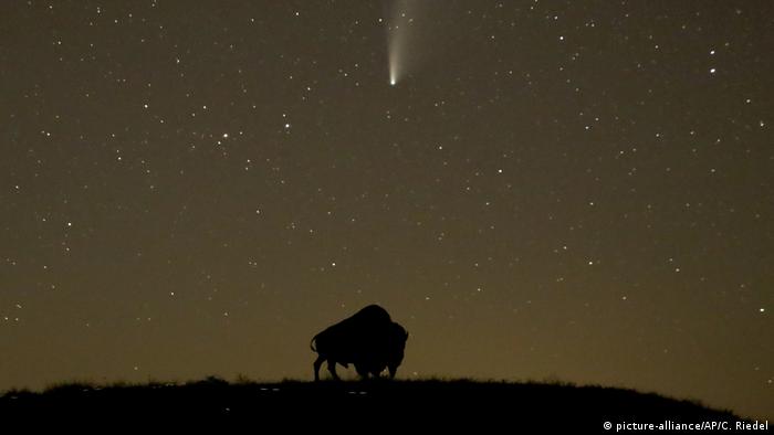 Комета NeoWise в небе над Онтарио