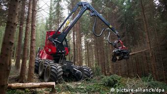 Заготовка древесины в Германии