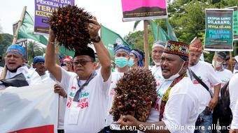 Джакарта, 17 мая 2022. Демонстрация фермеров вблизи дворца президента против запрета на экспорт пальмового масла 