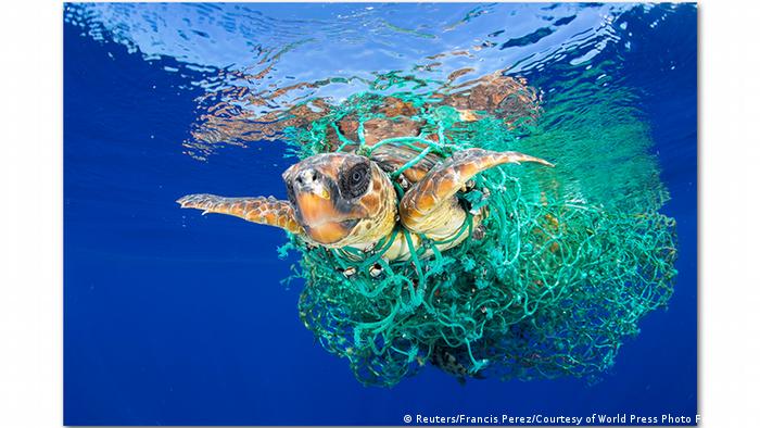 Пластиковые отходы в море