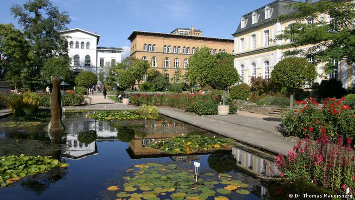 Ботанический сад при Боннском университете
