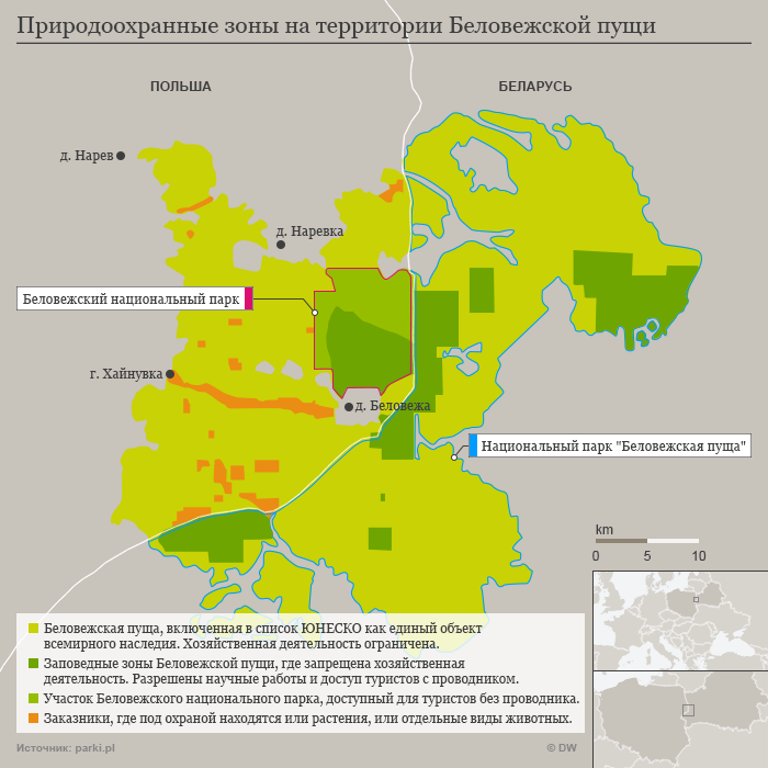 Инфографика: природоохранные зоны в Беловежской пуще